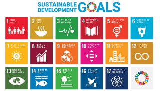 SDGs